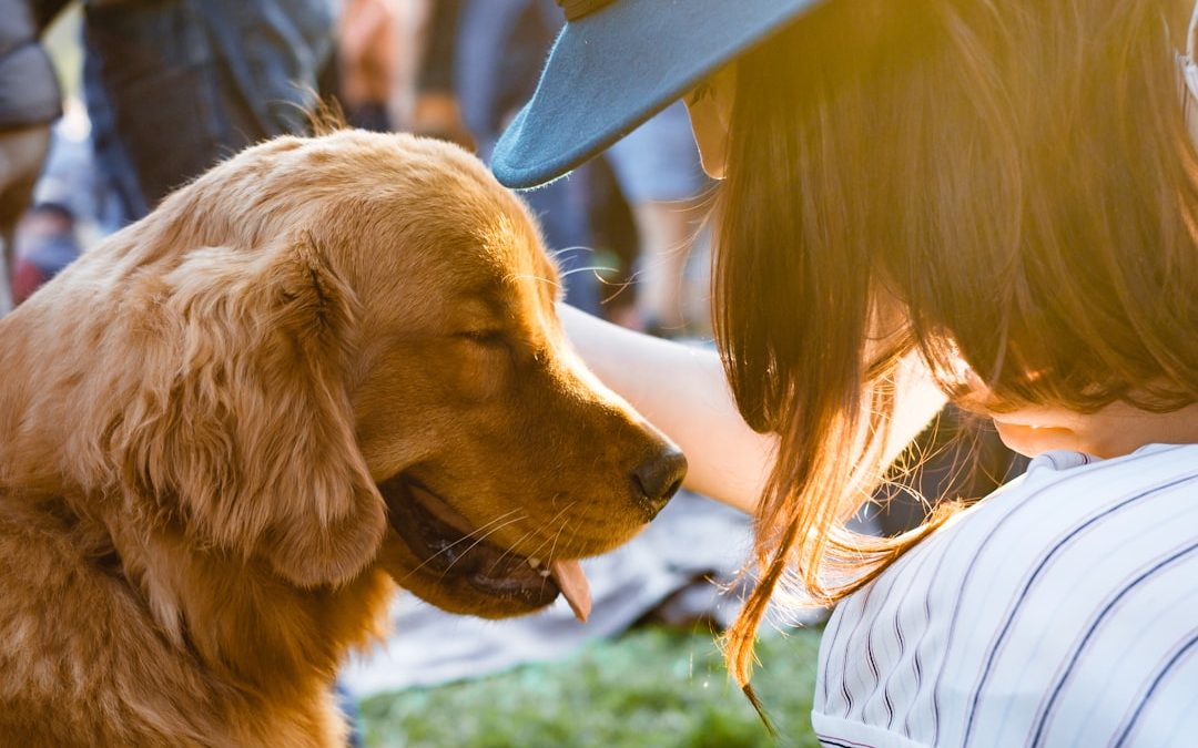 Coping With PTSD: Overcoming Trauma and Finding Healing