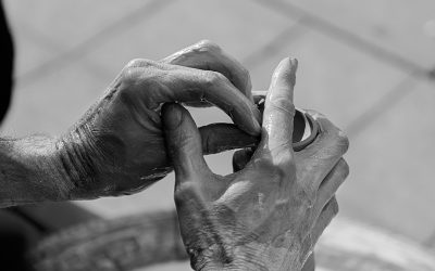 Support Veterans: Donate to PTSD Relief