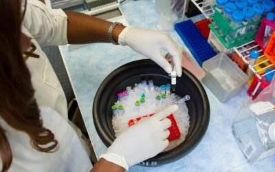 Support IAmPTSD Research: Donate Now