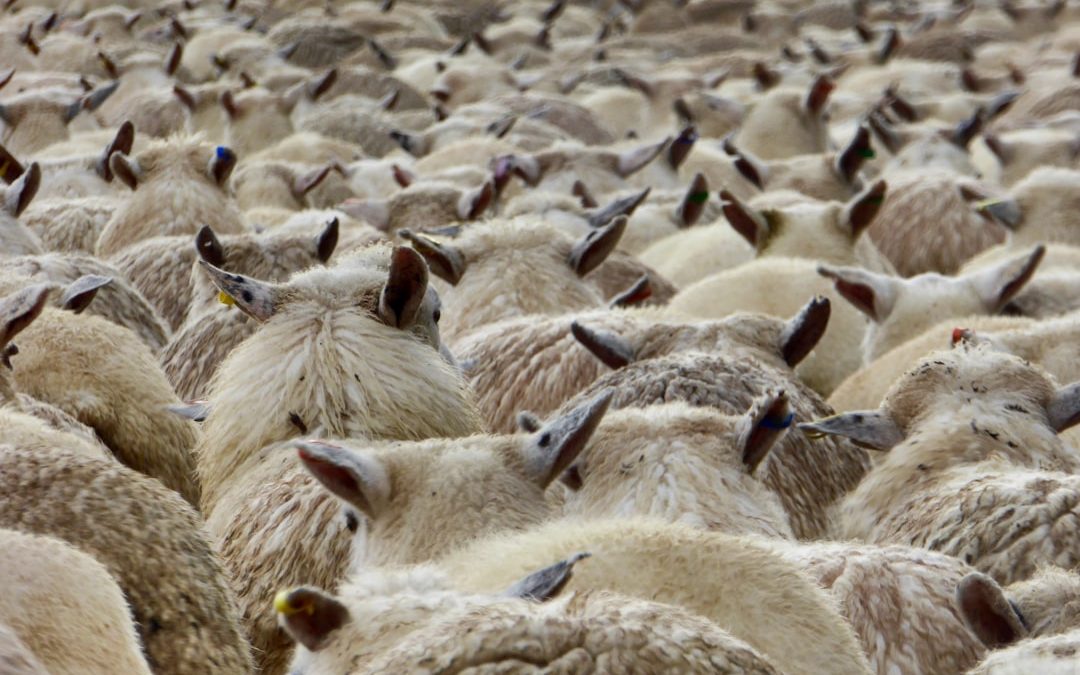 Finding Support: How to Get Help for PTSD