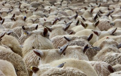 Finding Support: How to Get Help for PTSD