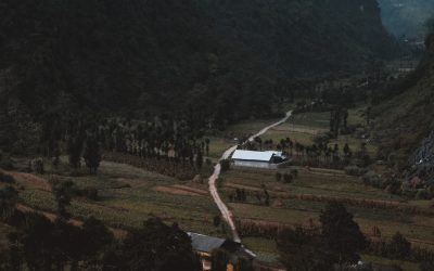 Managing PTSD: Top Apps for Recovery