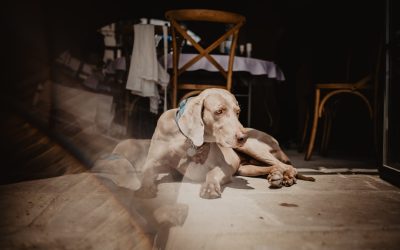 Managing PTSD Triggers: Effective Strategies